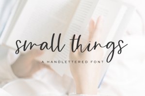 Small Things Script