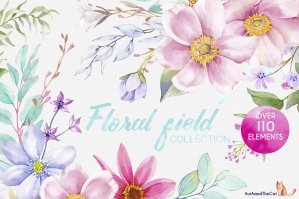 Floral Field Collection 1