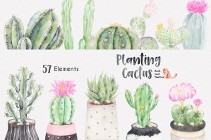 Planting Cactus Watercolor