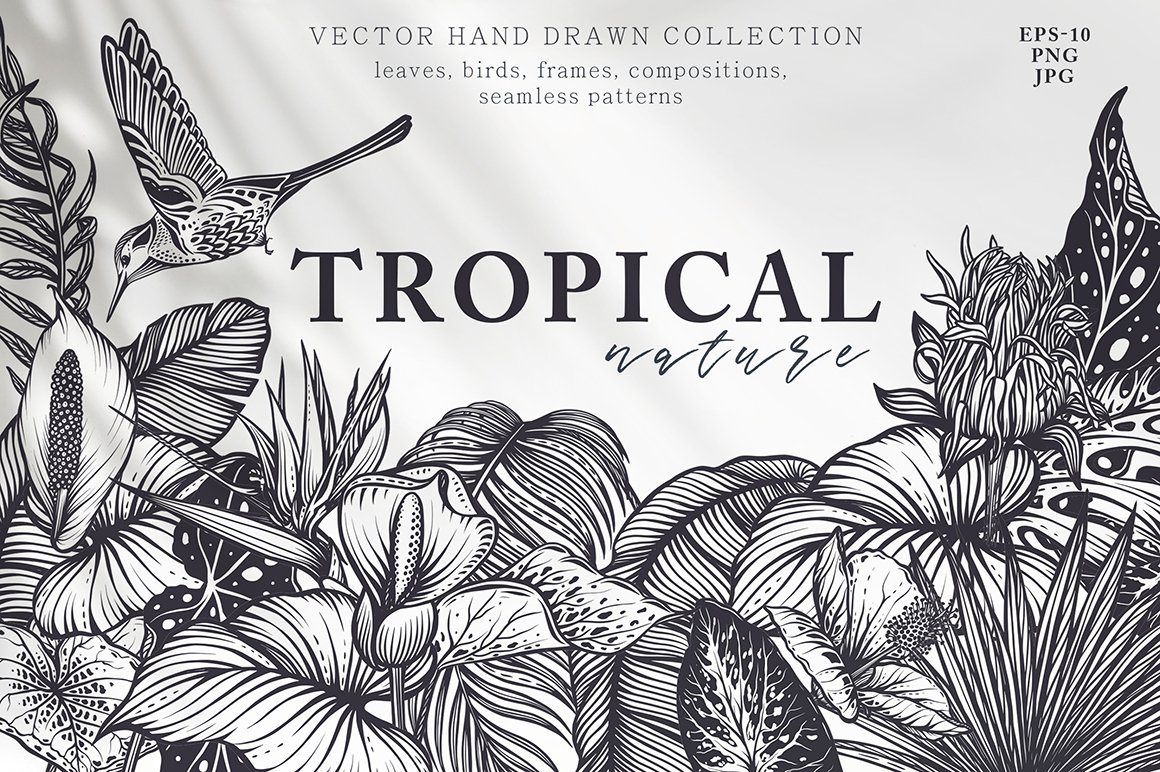 Tropical Nature Vector Set