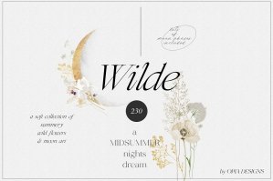Wilde - A Midsummer Night's Dream