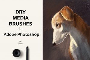 Dry Media Brushes - PS