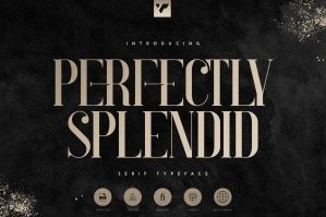 Perfectly Splendid Typeface - 5 Fonts