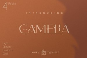 Camelia Sans - Unique Typeface