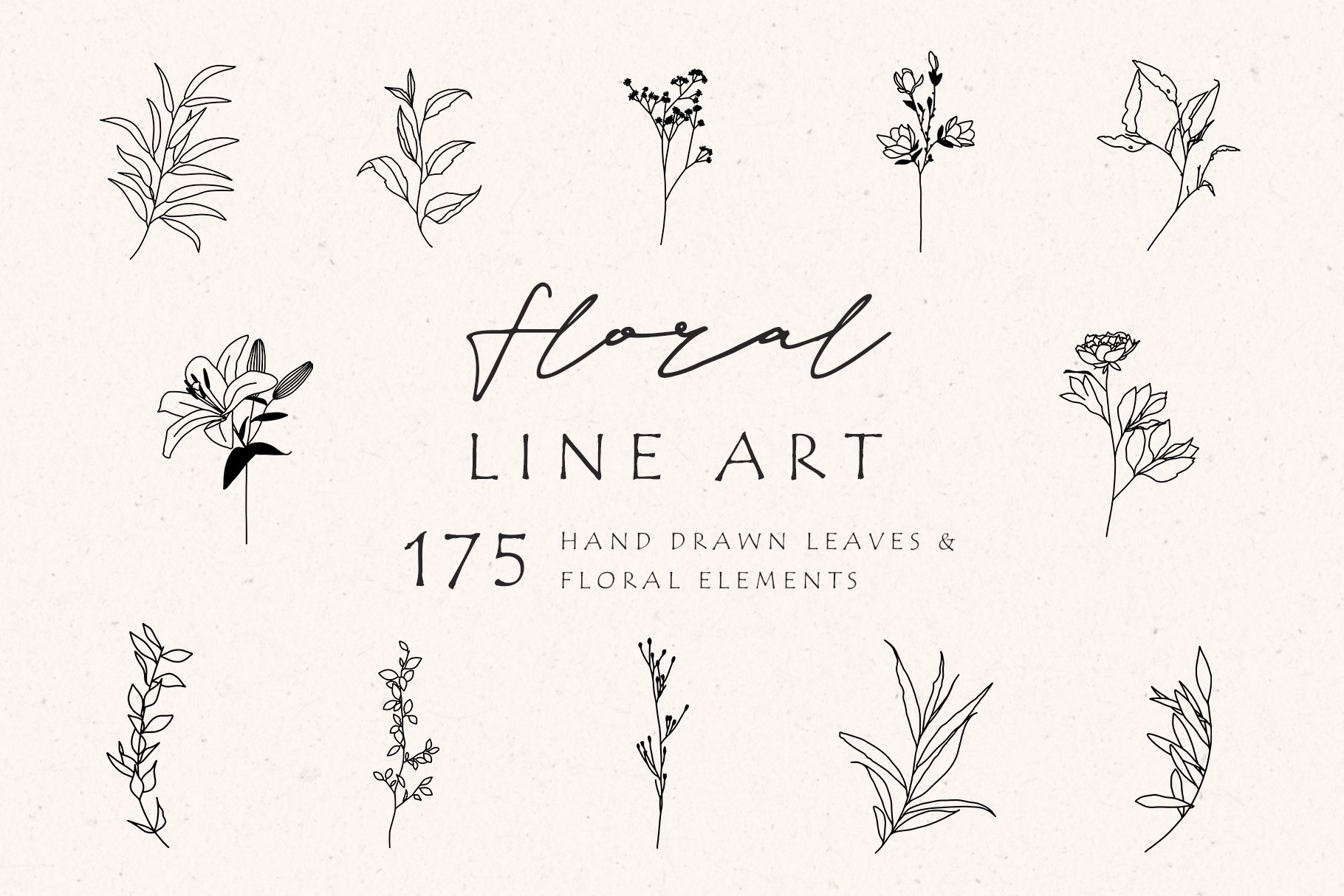 175 Line Art Leaves & Floral Elements