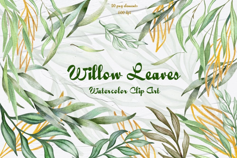 Eucalyptus Willow Watercolor Clipart