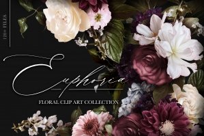 Euphoria Floral Clip Art & Pattern Collection