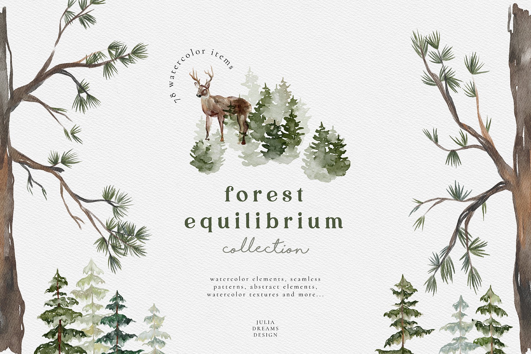 Forest Equilibrium Collection