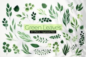 Green Leaves - Watercolor Greenery