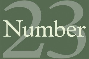 Number 23 Typeface