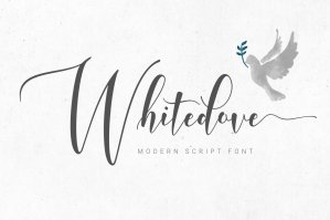 Whitedove Modern Script