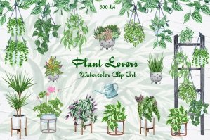 House Plants Watercolor Collection