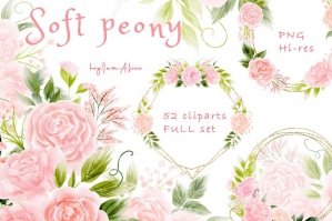 Soft Pink Peony Clipart