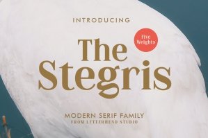 The Stegris Serif Family - 5 Weights