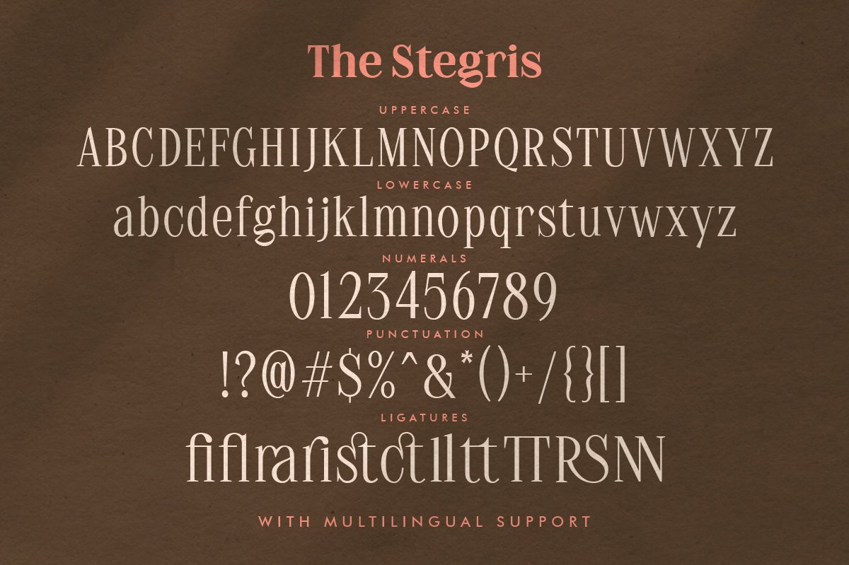 The Stegris Serif Family - 5 Weights