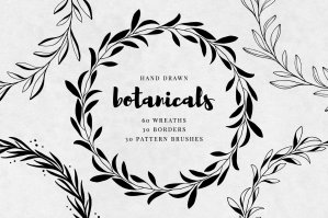 Hand Drawn Botanicals: Pattern Brushes, Wreaths, Borders