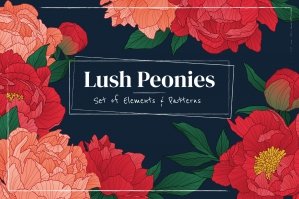 Lush Peonies: Set of Floral Elements