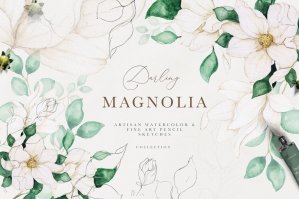Watercolor Magnolia & Floral Line Art