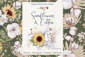 Watercolor Sunflowers and Cotton Set