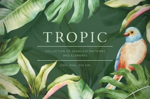 Tropic Seamless Patterns & Motifs