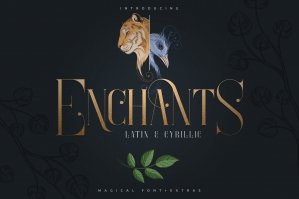 Enchants - Magical Font