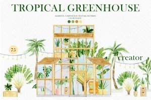 Tropical Greenhouse Plants & Decor Clipart