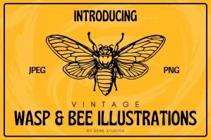 Vintage Wasp and Bee Illustrations