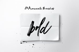 Bold Calligraphy Brushes