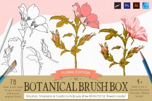 The Botanical Brush Box