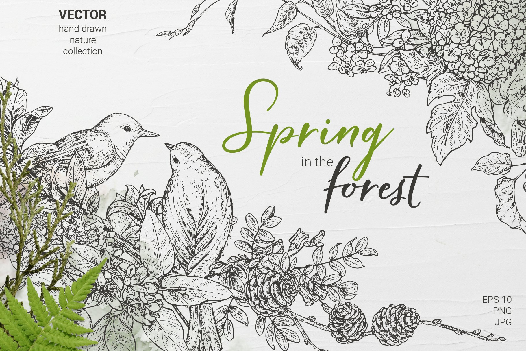 Spring in the Forest Vector Set