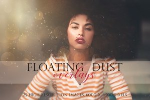 Floating Dust Photoshop Overlays