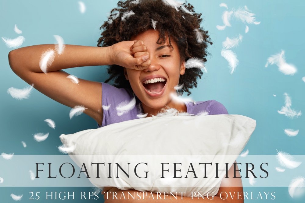 Floating Feather Overlays - Design Cuts