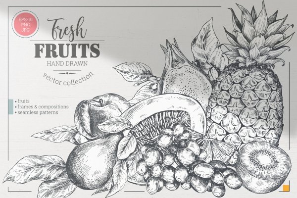 Sketch Pear Fruit Drawing Ink Stock Illustration - Download Image Now -  Art, Design, Dessert - Sweet Food - iStock