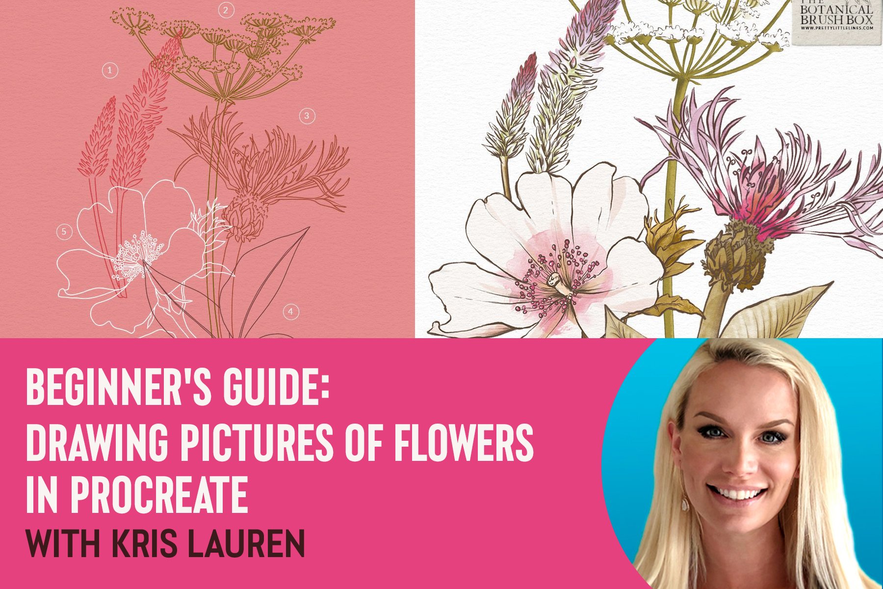 Beginner's Guide: Drawing Pictures of Flowers in Procreate With Kris Lauren