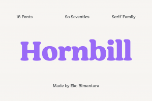 Hornbill - Retro Font Family