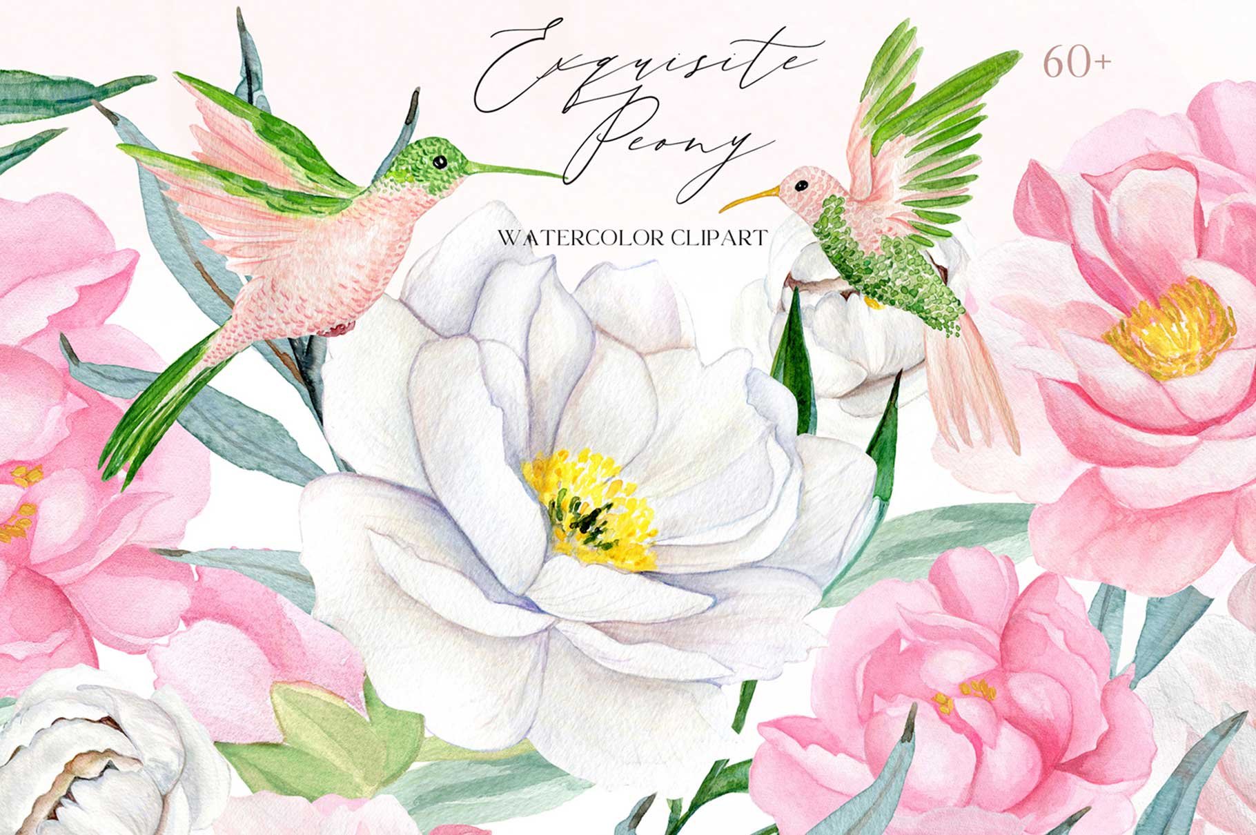 Peony Watercolor Clipart