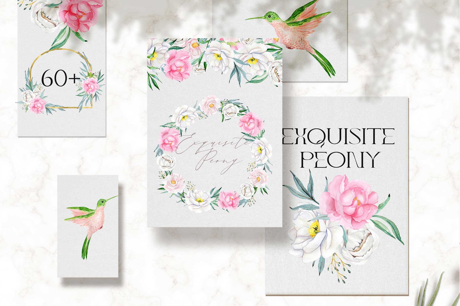 Peony Watercolor Clipart