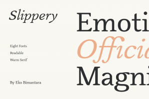 Slippery - Soft Serif Font Family