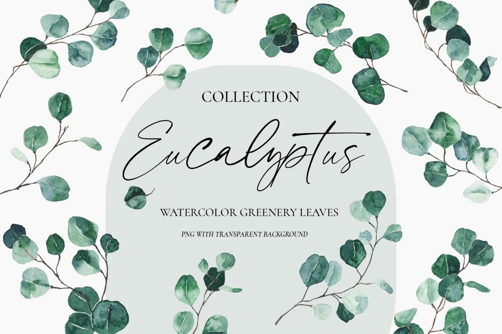Watercolor Eucalyptus Greenery Set