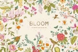 Bloom - Chinoiserie Inspired