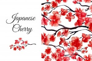 Japanese Cherry Collection
