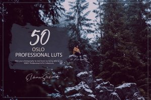 50 Oslo Presets and LUTs Pack
