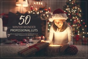 50 Winter Wonder Presets and LUTs Pack