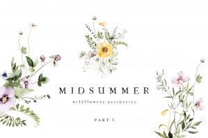 Midsummer Watercolor Wildflowers