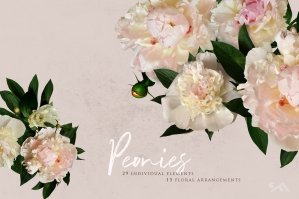 Peonies - Real Flowers Clipart Set