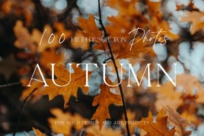 100+ New Hi-Res Autumn Backgrounds