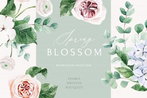Spring Blossom Watercolor Collection