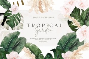 Tropical Summer Wedding Watercolor