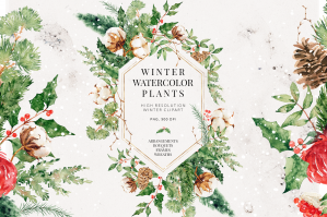 Winter Watercolor Collection
