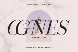 Ognes - Modern Ligature Serif Font